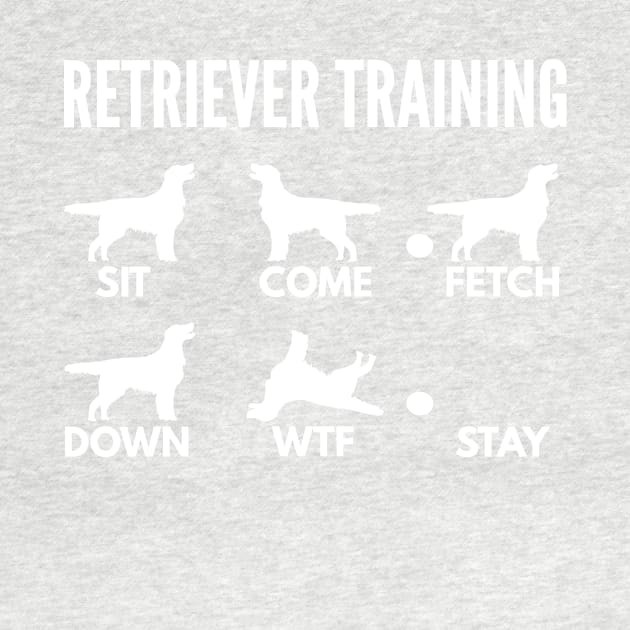 Retriever Training Retriever Dog Tricks by DoggyStyles